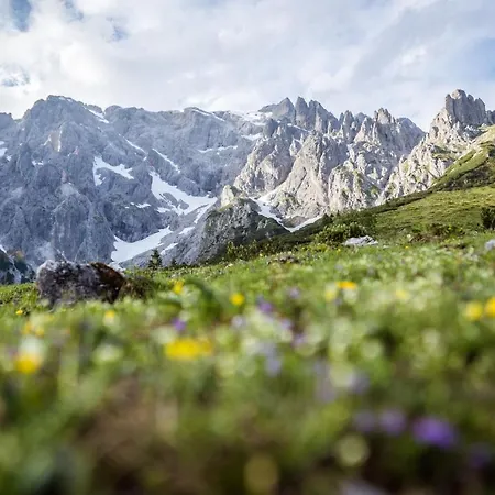 Alpenparks & Hochkoenig Ξενοδοχείο με διαμερίσματα Mühlbach am Hochkönig