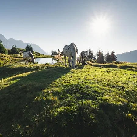 Alpenparks Hotel&apartment Hochkönig