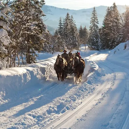 Alpenparks & Hochkoenig Mühlbach am Hochkönig